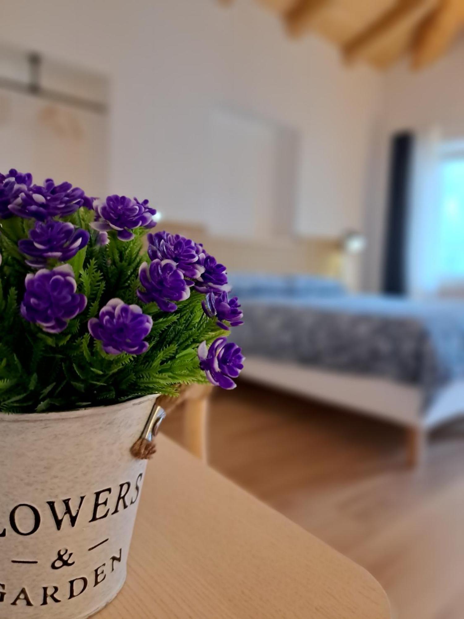 B&B Il Cortile Soriso Eksteriør billede